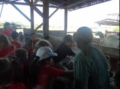 Grupo Aves do Mundo em aula-passeio na Fazenda Pamplona