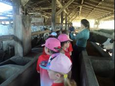 Grupo Aves do Mundo em aula-passeio na Fazenda Pamplona