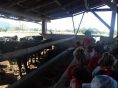 Grupo Aves do Mundo em aula-passeio na Fazenda Pamplona