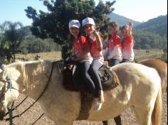 Grupo Aves do Mundo em aula-passeio na Fazenda Pamplona