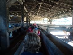 Grupo Aves do Mundo em aula-passeio na Fazenda Pamplona