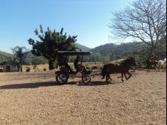 Grupo Aves do Mundo em aula-passeio na Fazenda Pamplona