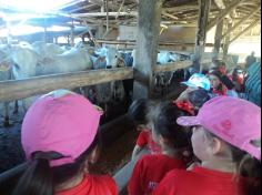 Grupo Aves do Mundo em aula-passeio na Fazenda Pamplona