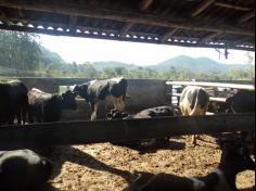 Grupo Aves do Mundo em aula-passeio na Fazenda Pamplona