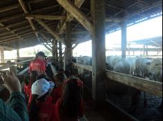 Grupo Aves do Mundo em aula-passeio na Fazenda Pamplona