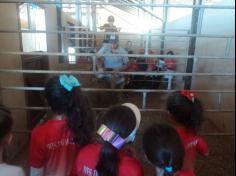 Grupo Aves do Mundo em aula-passeio na Fazenda Pamplona