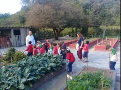 Grupos Floresta e Semear no Espaço Verde