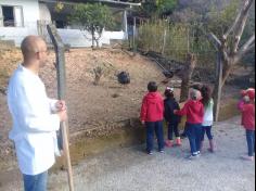 Grupos Floresta e Semear no Espaço Verde