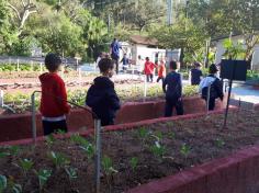 Vivências no Espaço Verde com o grupo Energia e Raio de Sol