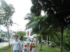 Passeio na Beira Rio