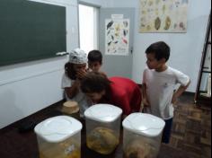 4º anos A, B, C e D  visitam o laboratório de Biologia