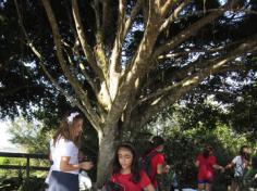 Aula de campo no Morro da Cruz