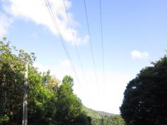 Aula de campo no Morro da Cruz