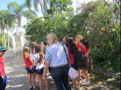 Aula de campo no Morro da Cruz