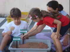 1º ano B realizando a experiência da decomposição