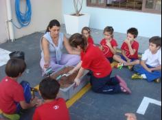 1º ano B realizando a experiência da decomposição