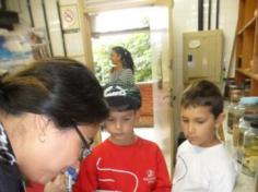 2º ano E estudando os siris