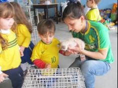 Feira de adoção de animais: um sucesso!