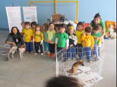 Feira de adoção de animais: um sucesso!