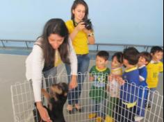 Feira de adoção de animais: um sucesso!