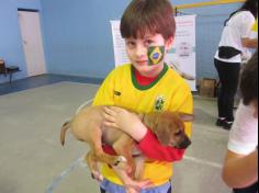 Feira de adoção de animais: um sucesso!