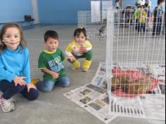 Feira de adoção de animais: um sucesso!