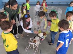 Feira de adoção de animais: um sucesso!