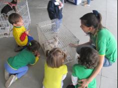 Feira de adoção de animais: um sucesso!