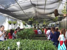 5º ano A e B em: Aula de campo no Parque da Atalaia