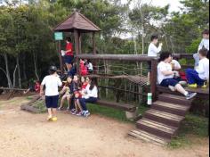 5º ano A e B em: Aula de campo no Parque da Atalaia