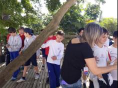 5º ano A e B em: Aula de campo no Parque da Atalaia