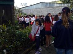 5º ano A e B em: Aula de campo no Parque da Atalaia