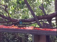 5º ano A e B em: Aula de campo no Parque da Atalaia