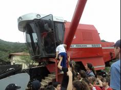 Você sabe de onde vem o arroz?