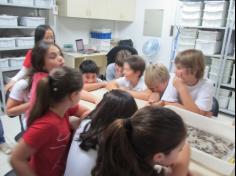 4º ano B – Ida ao museu etno-arqueológico