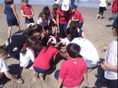 2ºs anos A e B em aula de campo na praia da Atalaia: aventuras e aprendizagens