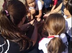 2ºs anos A e B em aula de campo na praia da Atalaia: aventuras e aprendizagens