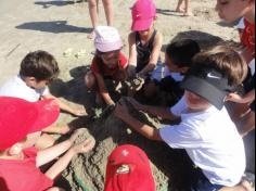 2ºs anos A e B em aula de campo na praia da Atalaia: aventuras e aprendizagens