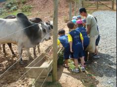 Confraternização entre os amigos do 1ºAno B