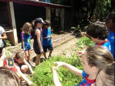 Passeio de encerramento do 3º ano B