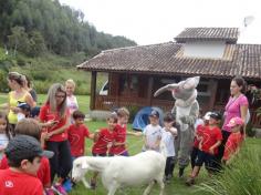 Grupo Música e Vitaminados visitam Sítio Mundo Animal