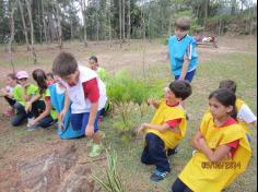 Espaço Verde – Jogos Cooperativos