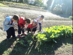 1º ano C em Aula-passeio no Espaço  Verde