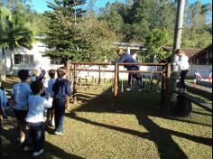 1º ano C em Aula-passeio no Espaço  Verde