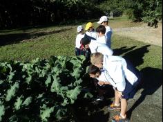 1º ano C em Aula-passeio no Espaço  Verde