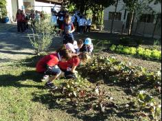 1º ano C em Aula-passeio no Espaço  Verde