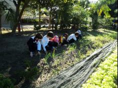 1º ano C em Aula-passeio no Espaço  Verde