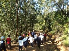 1º ano C em Aula-passeio no Espaço  Verde