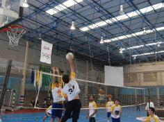 OLIS 2014 – Voleibol