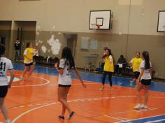 OLIS 2014 – Handebol